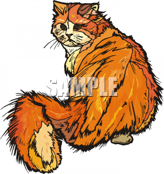 Pet Clipart
