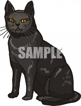 Pet Clipart