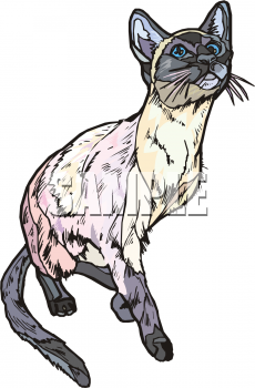 Pet Clipart