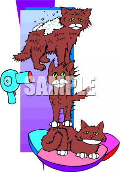 Pet Clipart
