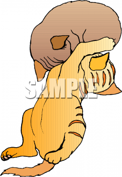 Pet Clipart