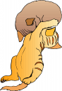 Pet Clipart