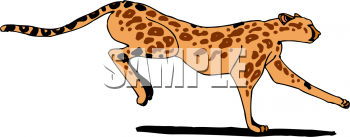 Pet Clipart