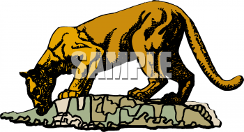Pet Clipart