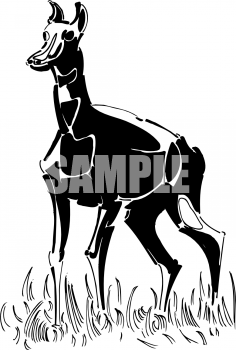 Dog Clipart