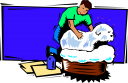 Pet Clipart