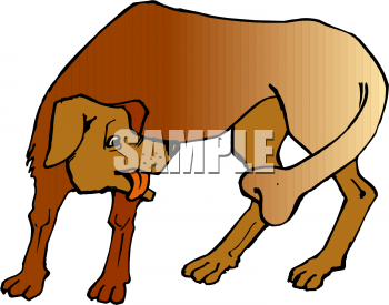 Pet Clipart