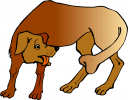 Pet Clipart