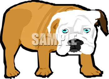 Pet Clipart