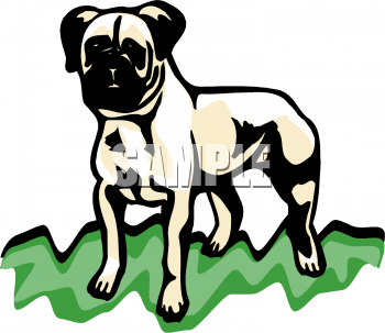 Pet Clipart