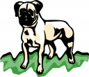 Pet Clipart