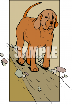 Pet Clipart