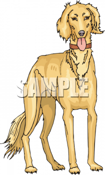 Pet Clipart