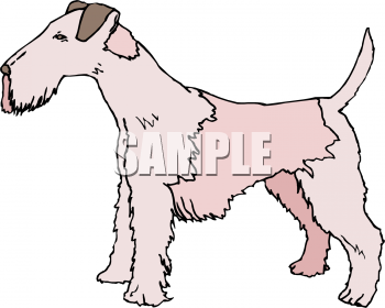 Pet Clipart