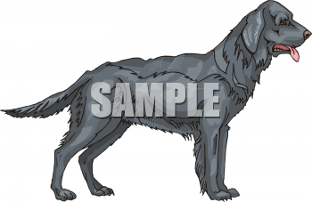 Pet Clipart