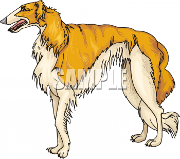 Pet Clipart