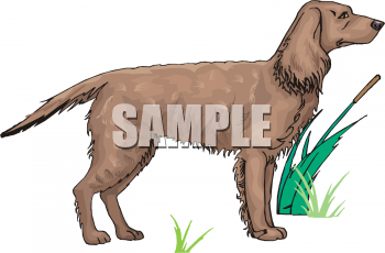Dog Clipart