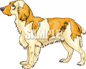 Dog Clipart