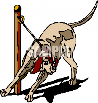 Pet Clipart