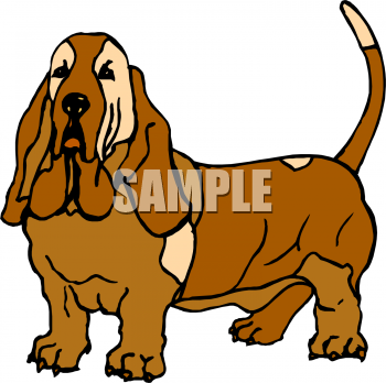 Pet Clipart