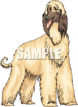 Dog Clipart