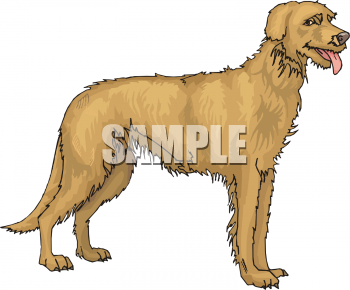 Dog Clipart