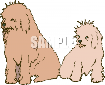 Pet Clipart