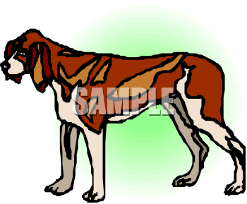 Pet Clipart