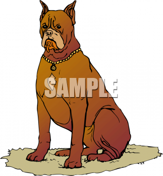 Pet Clipart