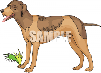 Dog Clipart