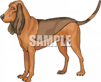 Pet Clipart