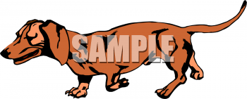 Pet Clipart