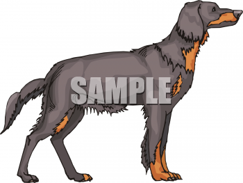 Pet Clipart