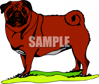 Dog Clipart