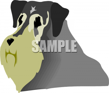 Pet Clipart