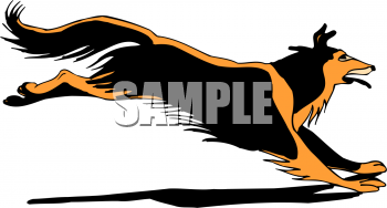 Pet Clipart