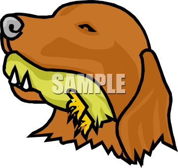 Pet Clipart