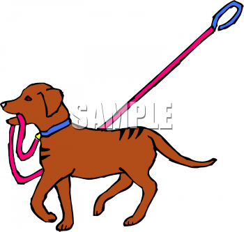 Pet Clipart