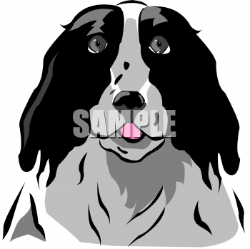 Pet Clipart