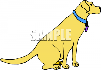 Pet Clipart