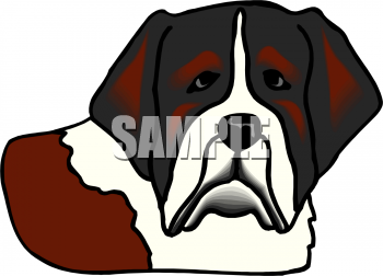 Pet Clipart