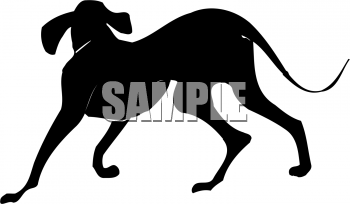 Pet Clipart