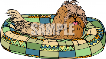 Pet Clipart