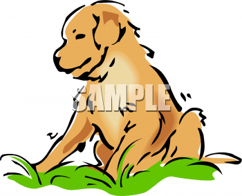Pet Clipart