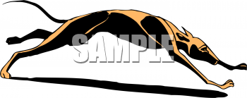 Pet Clipart