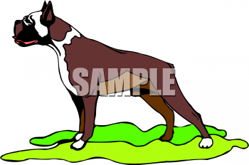 Dog Clipart