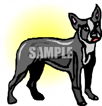 Dog Clipart