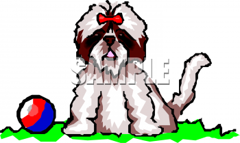 Pet Clipart