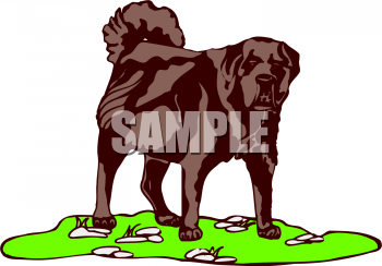 Dog Clipart