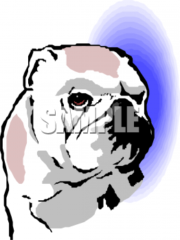 Dog Clipart